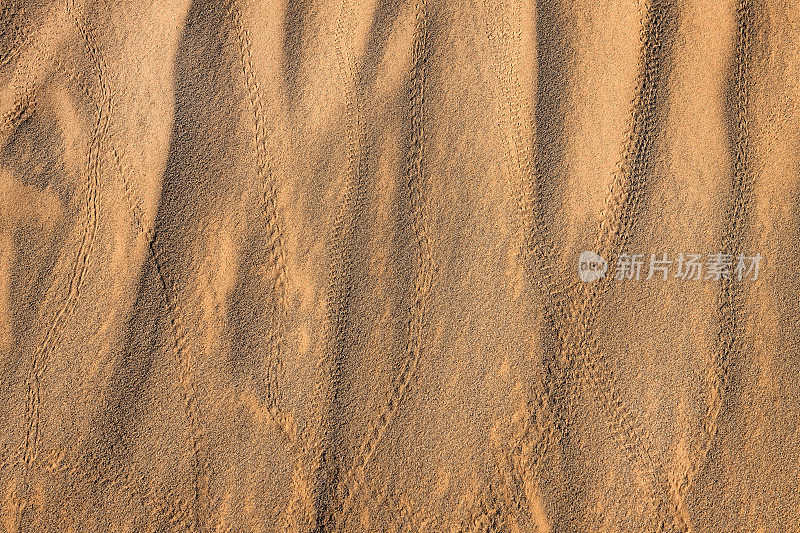 Erg Chebbi沙漠的沙子，Merzouga，摩洛哥，北非